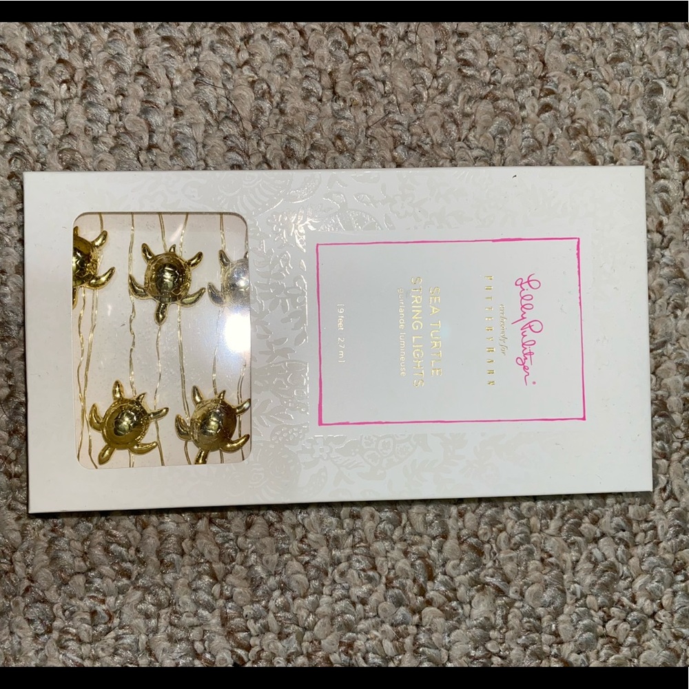 Turtle string lights